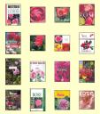 bookshop rose