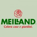 Meilland